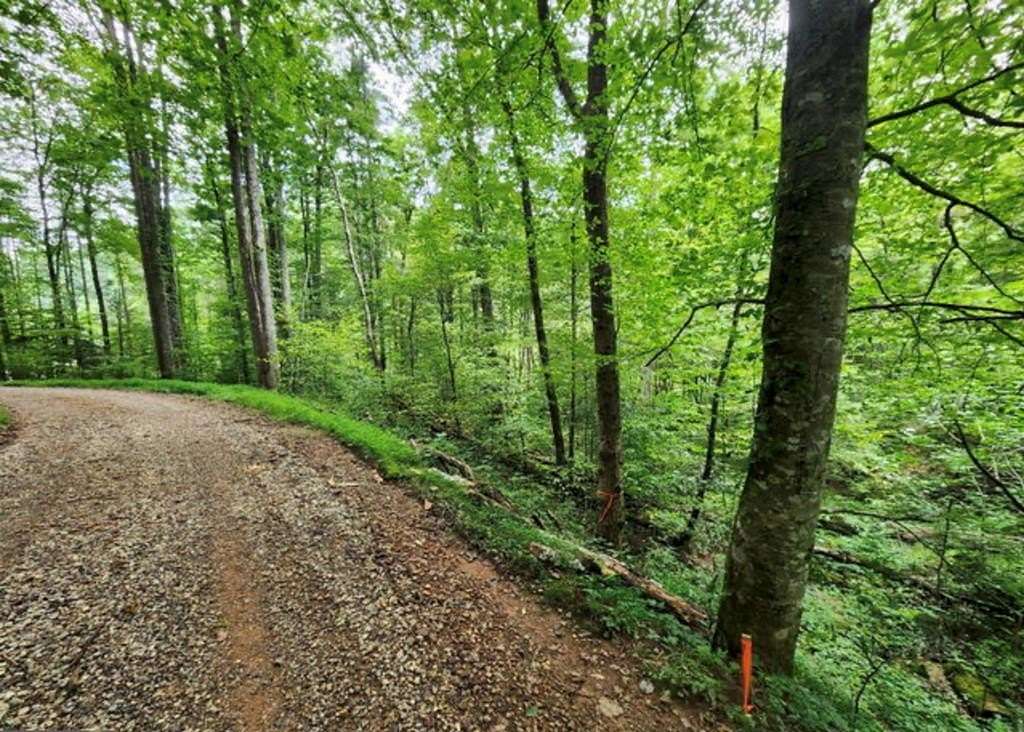 1.38 Acres of Land for Sale in Suches, Georgia