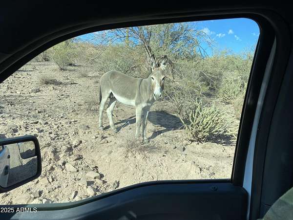 4 Acres of Land for Sale in Morristown, Arizona