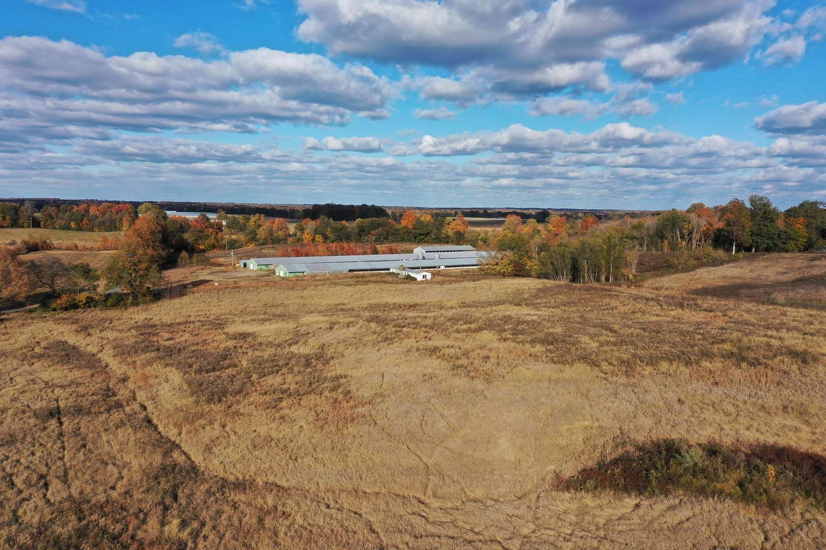 79.1 Acres of Land for Sale in Clinton, Kentucky