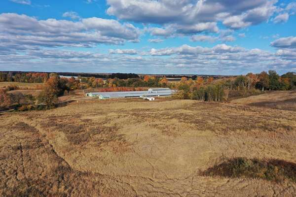 79.1 Acres of Land for Sale in Clinton, Kentucky