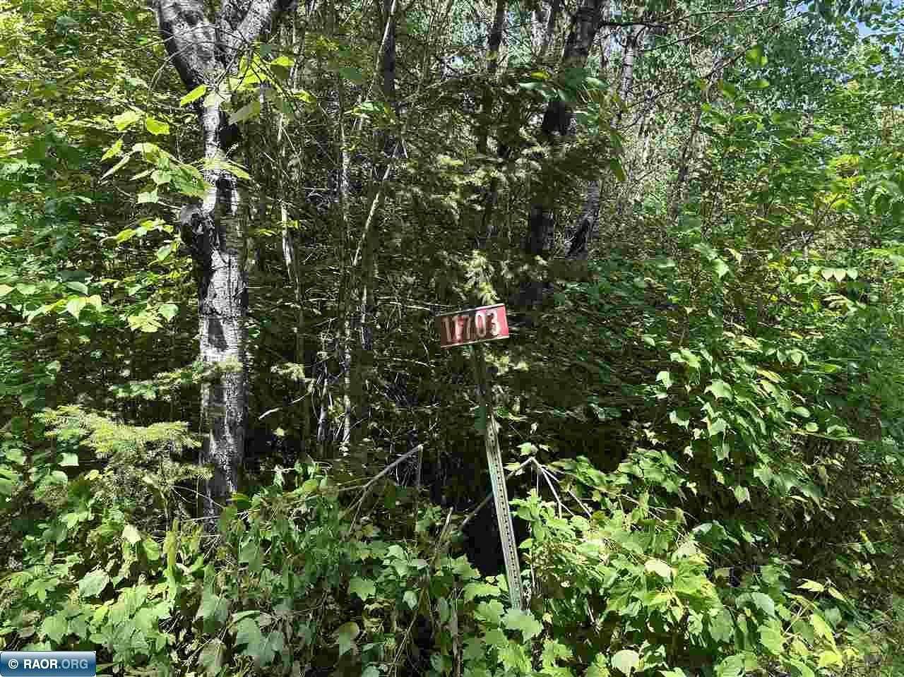 3.8 Acres of Land for Sale in Orr, Minnesota