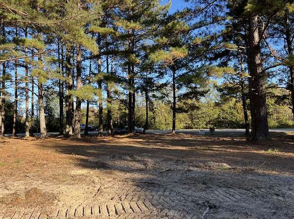 2.5 Acres of Land with Home for Sale in Appling, Georgia