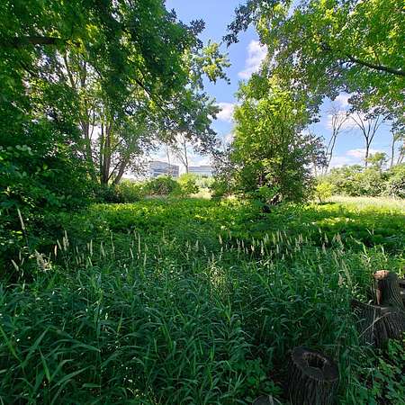 1 Acre of Land for Sale in Hopkins, Minnesota