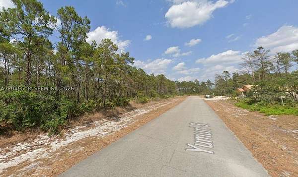 0.23 Acres of Residential Land for Sale in Sebring, Florida