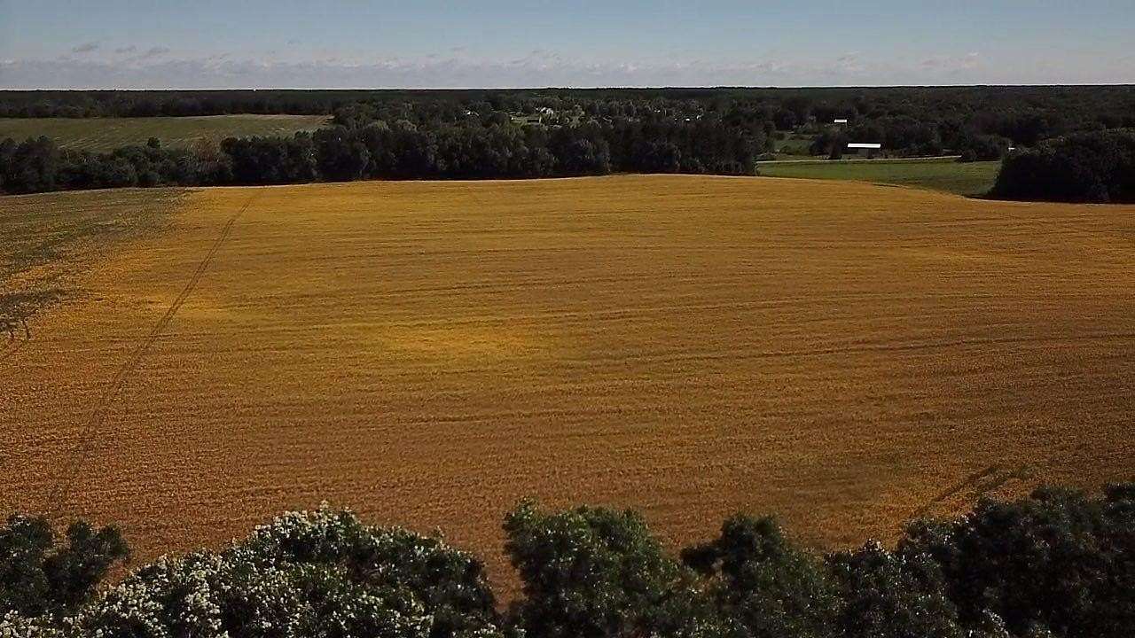 14.3 Acres of Land for Sale in Becker, Minnesota