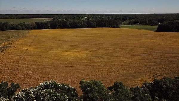 14.3 Acres of Land for Sale in Becker, Minnesota