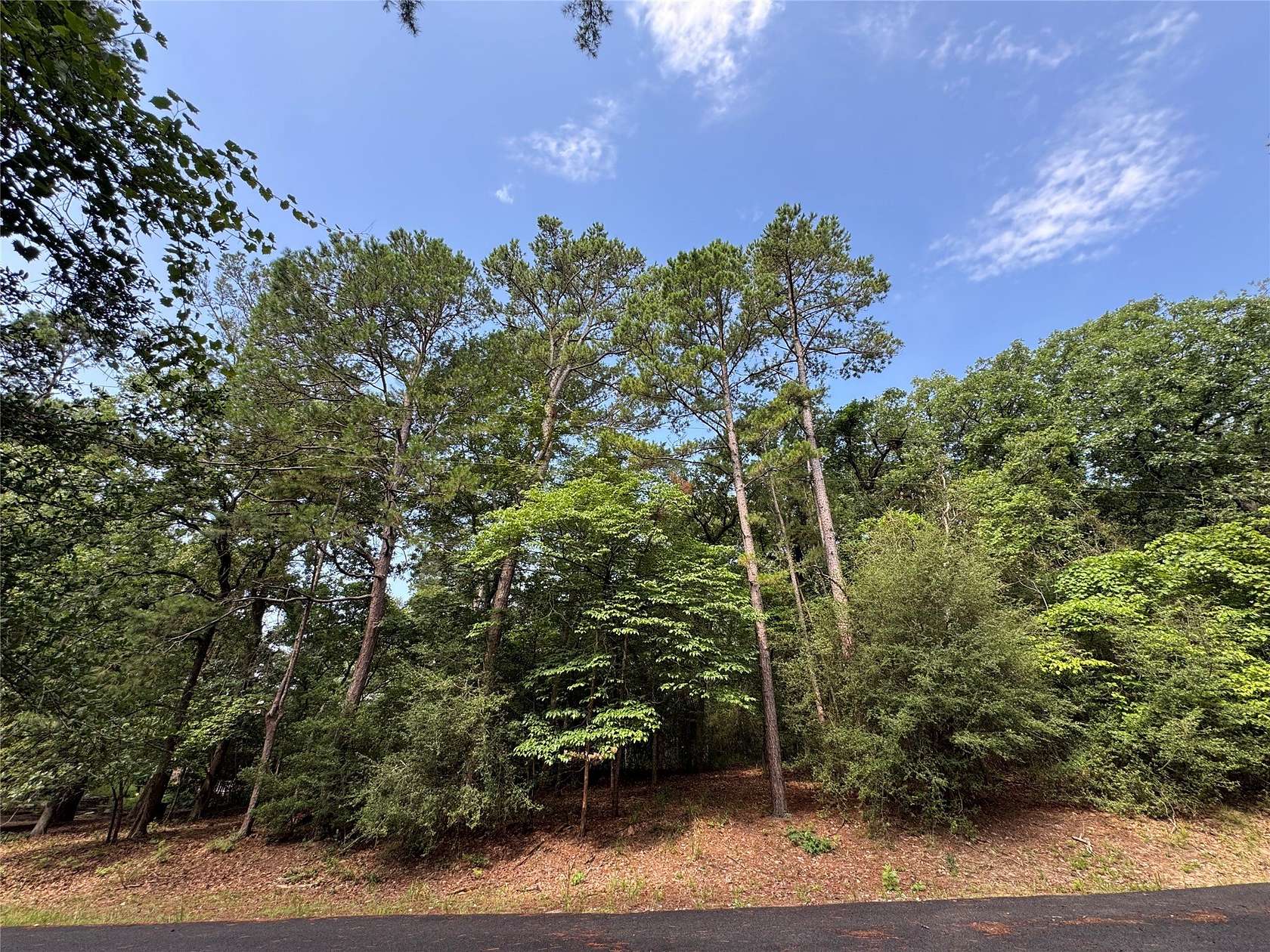 0.52 Acres of Residential Land for Sale in Holly Lake Ranch, Texas