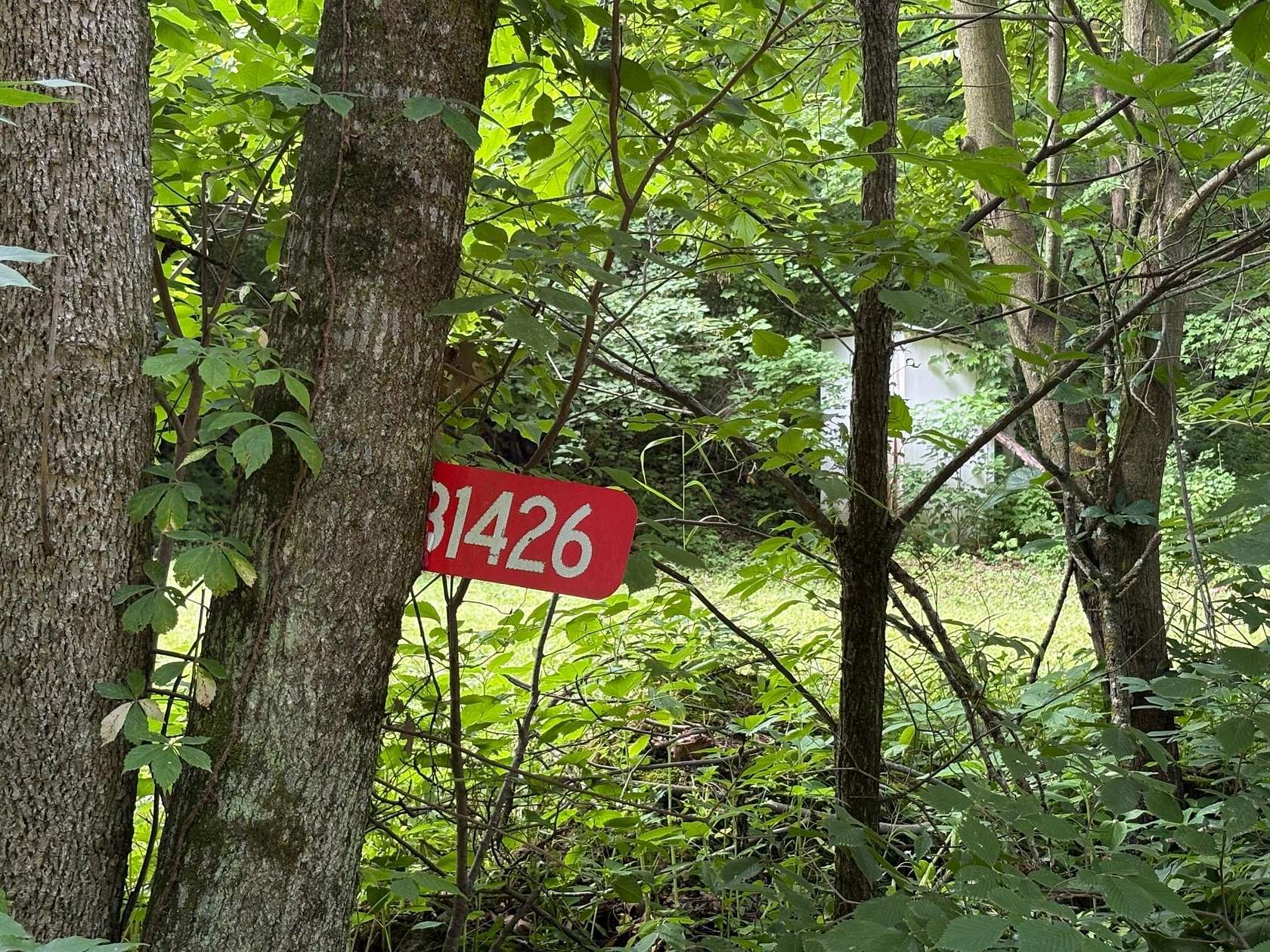 29.9 Acres of Recreational Land for Sale in Red Wing, Minnesota