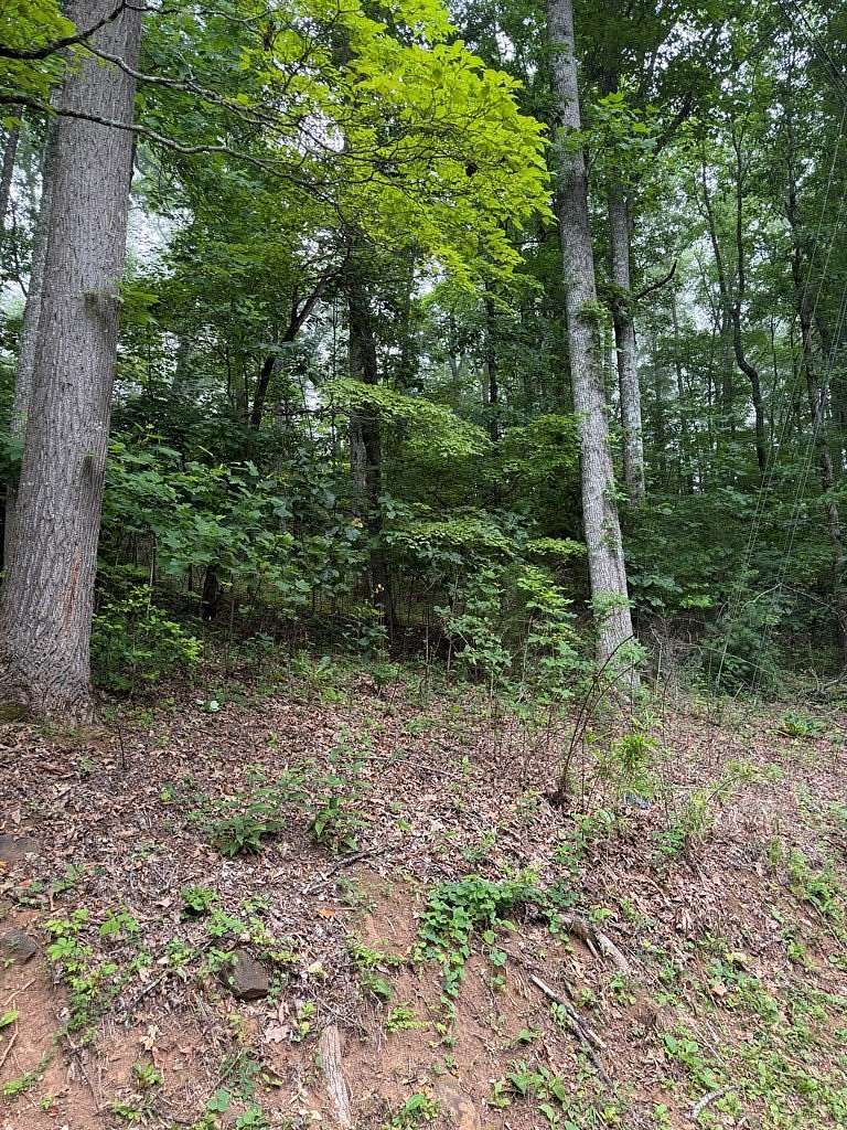 0.46 Acres of Residential Land for Sale in Franklin, North Carolina