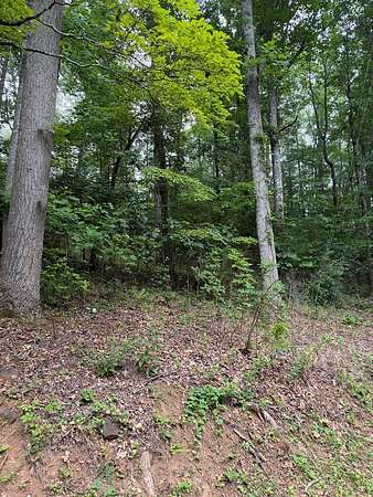 0.46 Acres of Residential Land for Sale in Franklin, North Carolina