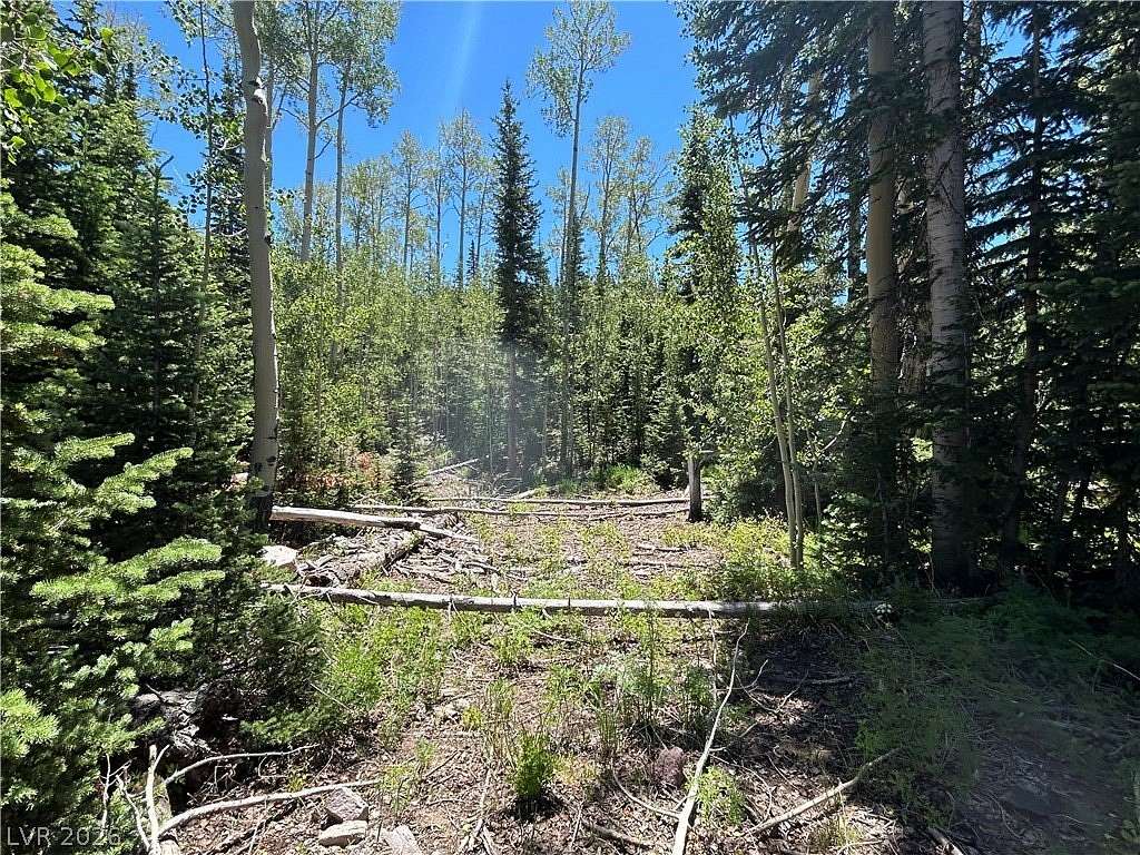 0.29 Acres of Residential Land for Sale in Brian Head, Utah
