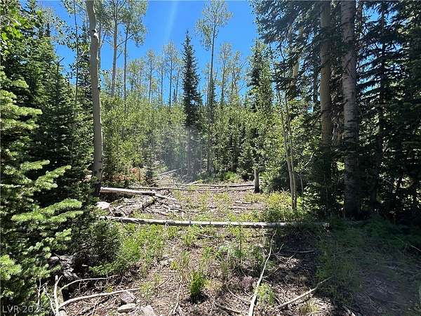 0.29 Acres of Residential Land for Sale in Brian Head, Utah