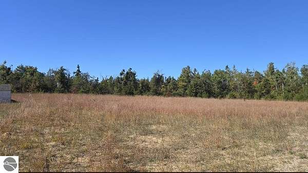 20 Acres of Land for Sale in Lewiston, Michigan