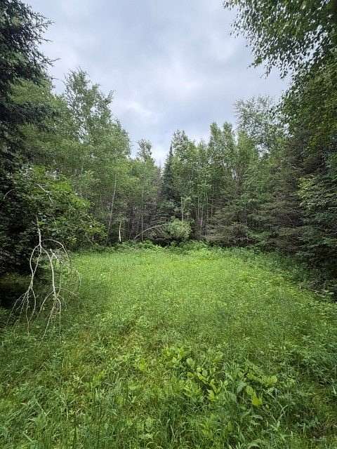 20 Acres of Recreational & Residential Land for Sale in Trego, Wisconsin