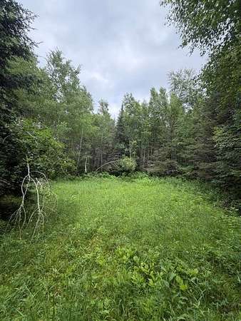 20 Acres of Recreational & Residential Land for Sale in Trego, Wisconsin