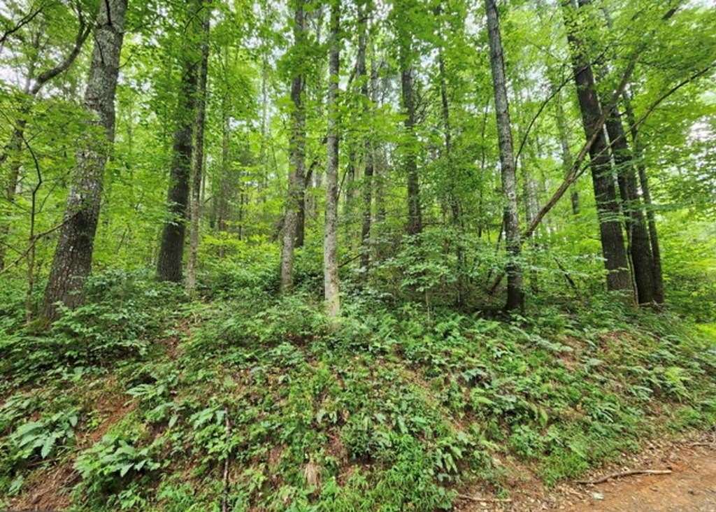 1 Acre of Land for Sale in Suches, Georgia