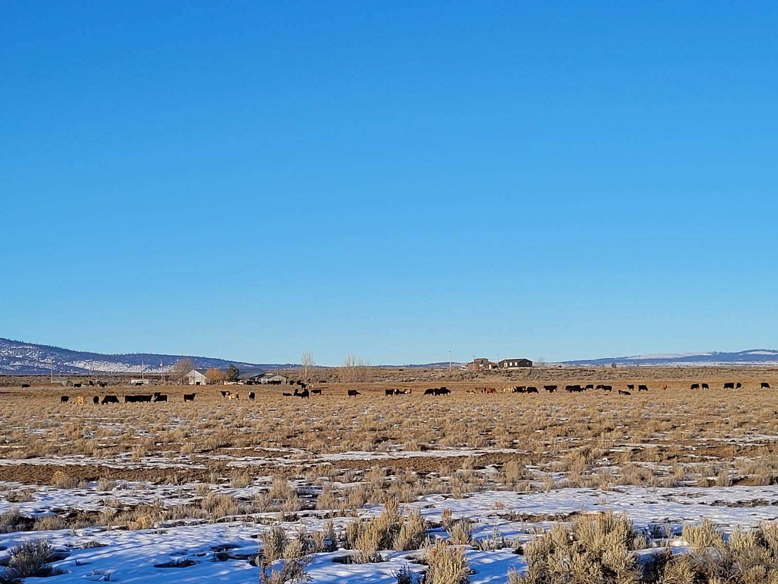 78.9 Acres of Agricultural Land with Home for Sale in Riley, Oregon