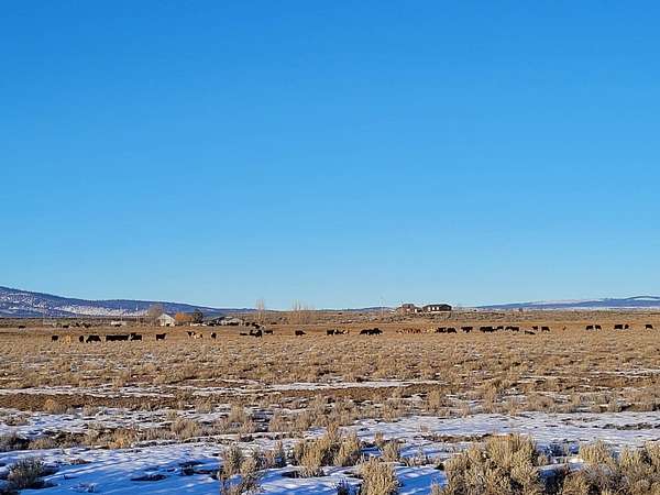 78.9 Acres of Agricultural Land with Home for Sale in Riley, Oregon