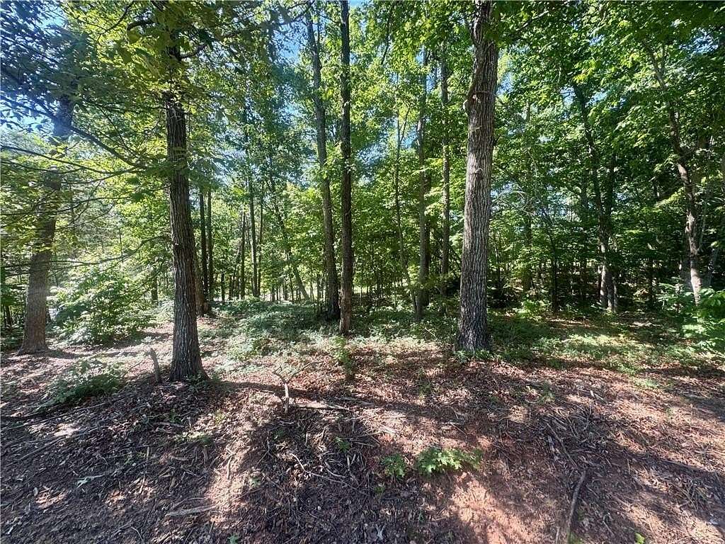 1 Acre of Residential Land for Sale in Cleveland, Georgia