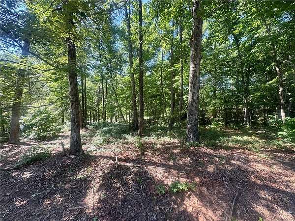 1 Acre of Residential Land for Sale in Cleveland, Georgia