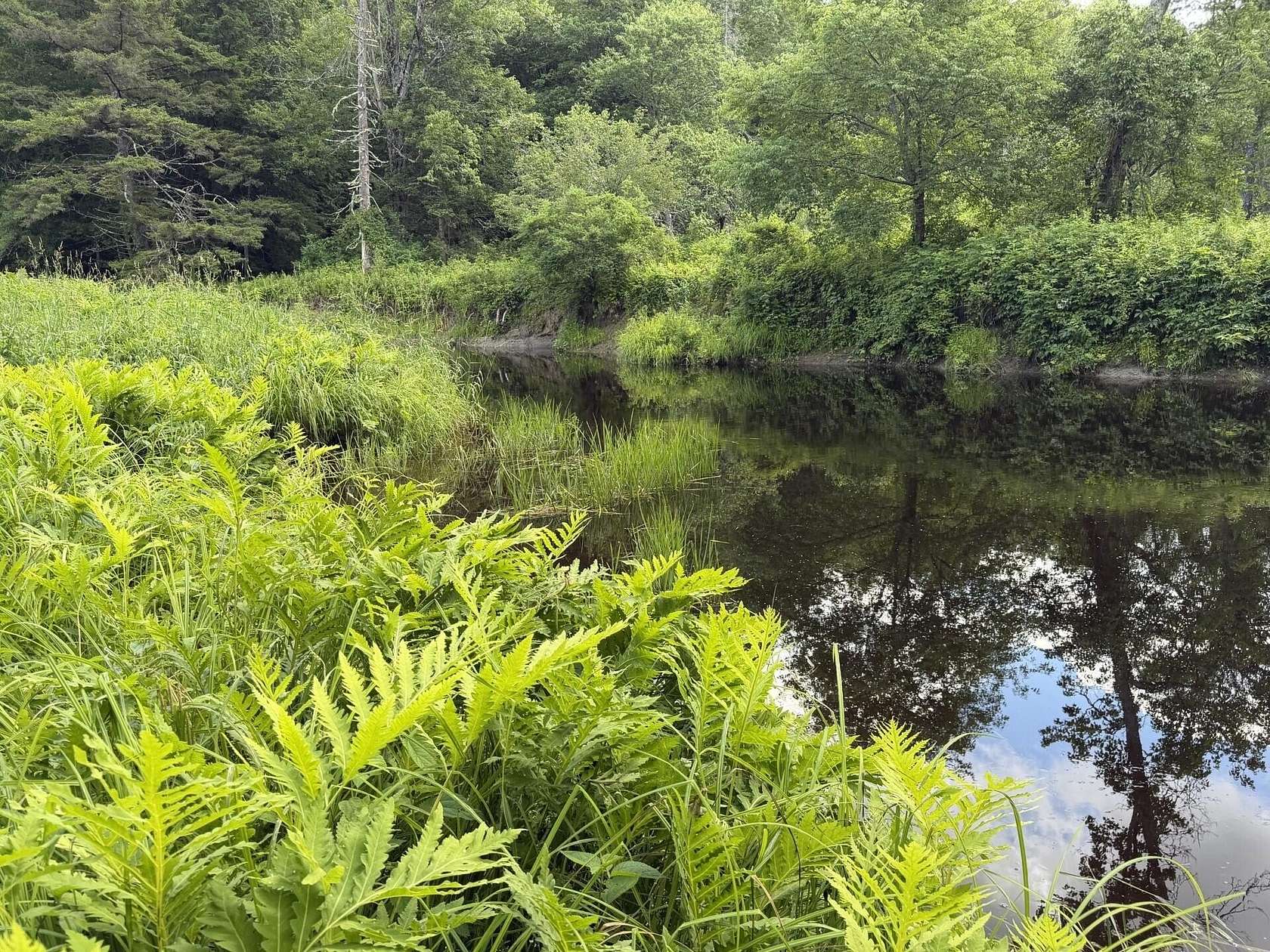 10 Acres of Land for Sale in Fairfield, Maine