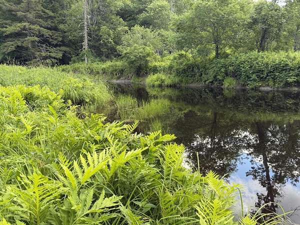 10 Acres of Land for Sale in Fairfield, Maine
