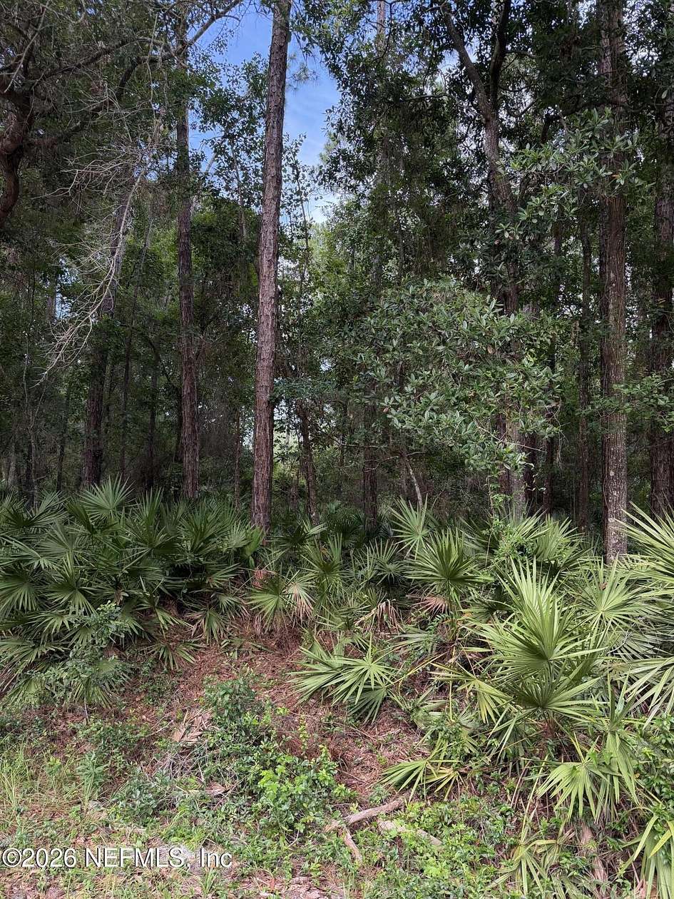 0.27 Acres of Residential Land for Sale in Georgetown, Florida