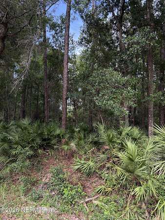 0.27 Acres of Residential Land for Sale in Georgetown, Florida