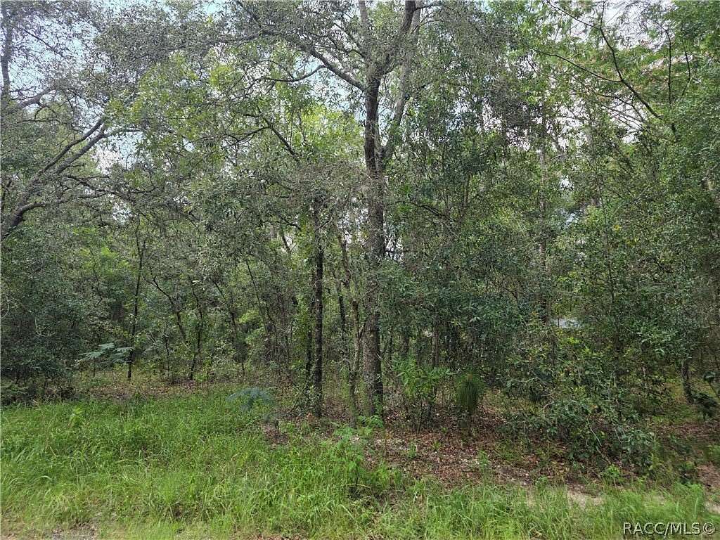 0.22 Acres of Residential Land for Sale in Inverness, Florida