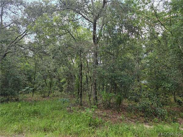 0.22 Acres of Residential Land for Sale in Inverness, Florida
