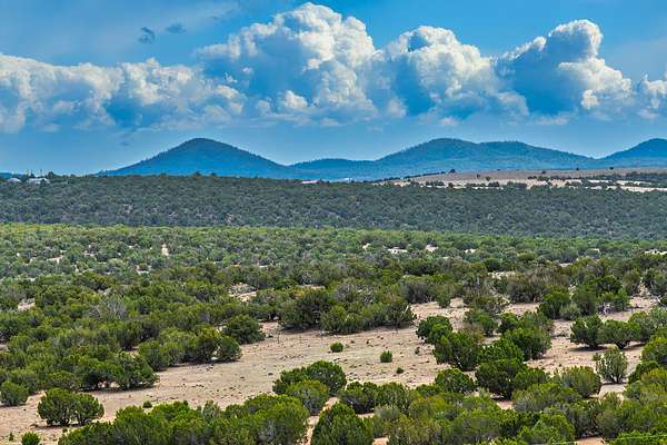1.16 Acres of Residential Land for Sale in Vernon, Arizona