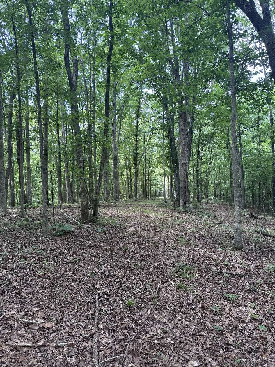 5 Acres of Land for Sale in Waverly, Tennessee