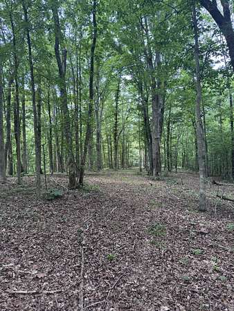 5 Acres of Land for Sale in Waverly, Tennessee