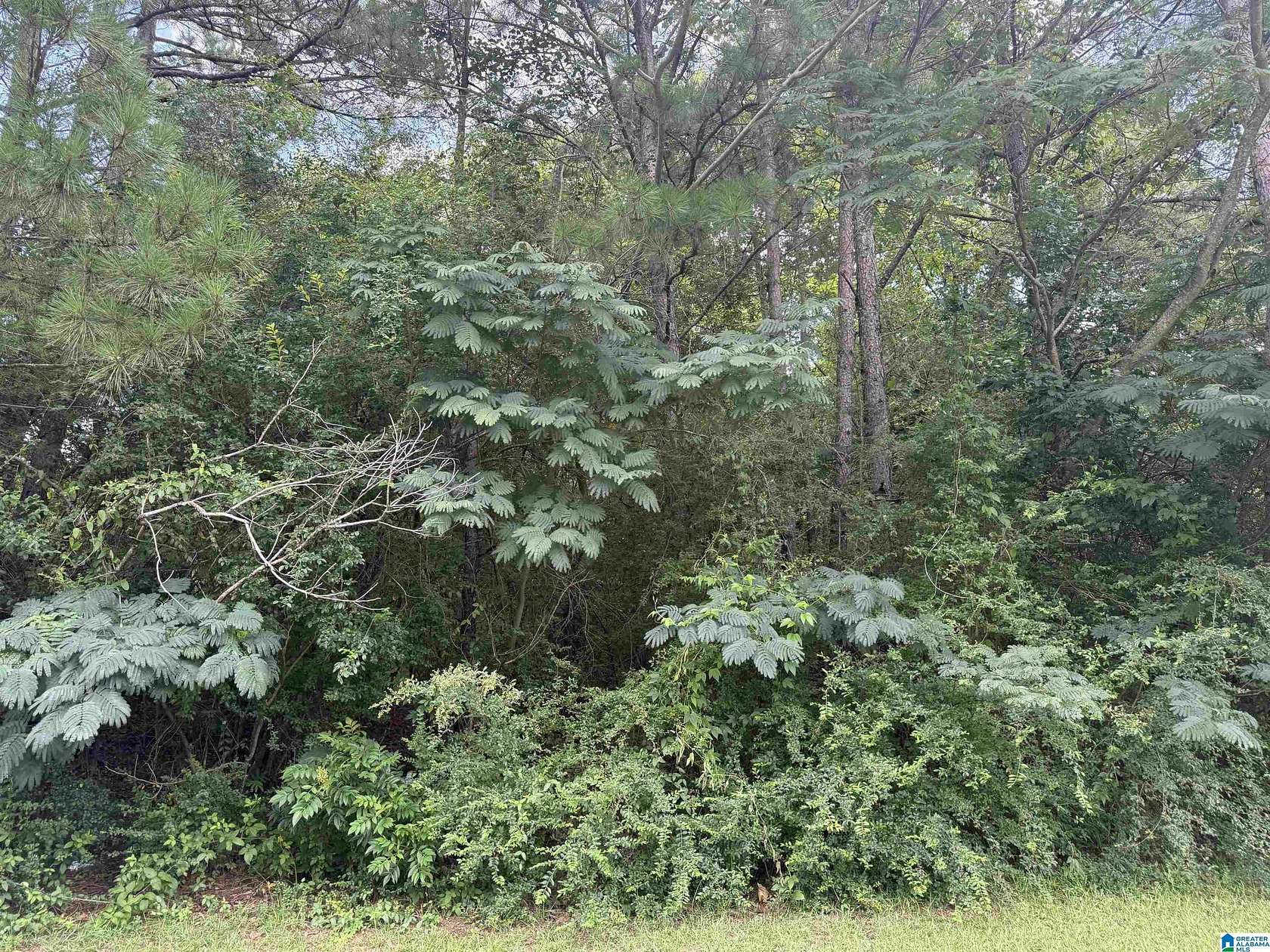 1.6 Acres of Residential Land for Sale in Gardendale, Alabama