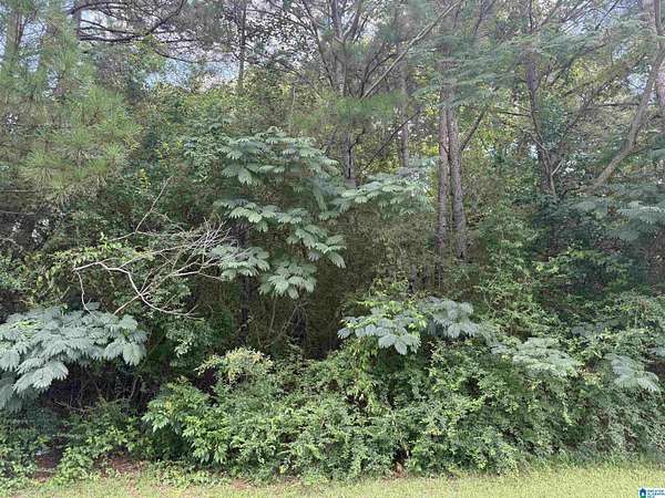 1.6 Acres of Residential Land for Sale in Gardendale, Alabama