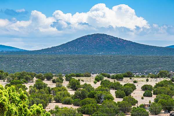 1 Acre of Residential Land for Sale in Vernon, Arizona
