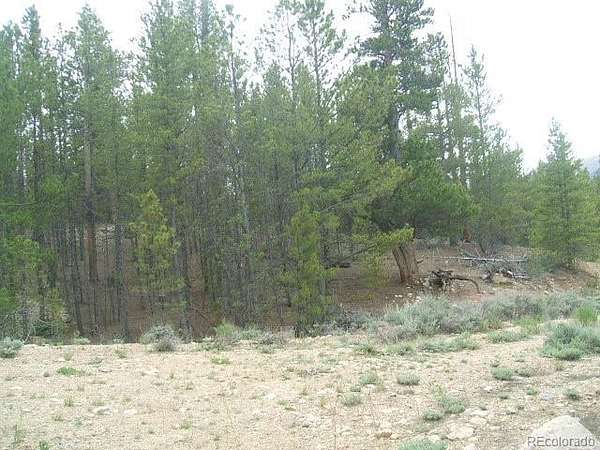 0.3 Acres of Residential Land for Sale in Leadville, Colorado