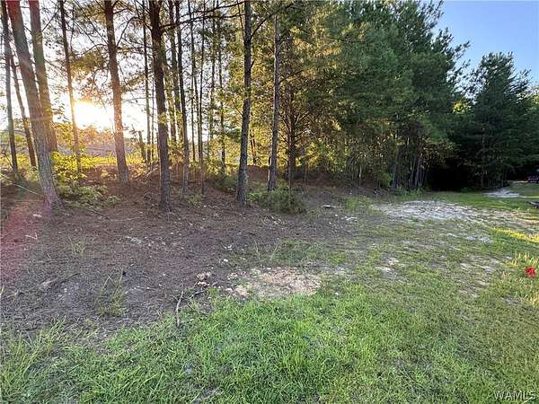 4 Acres of Residential Land for Sale in Tuscaloosa, Alabama