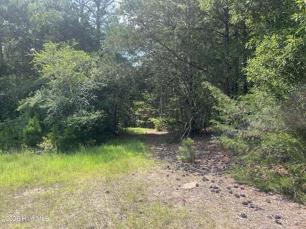16.9 Acres of Land for Sale in Lincolnton, Georgia