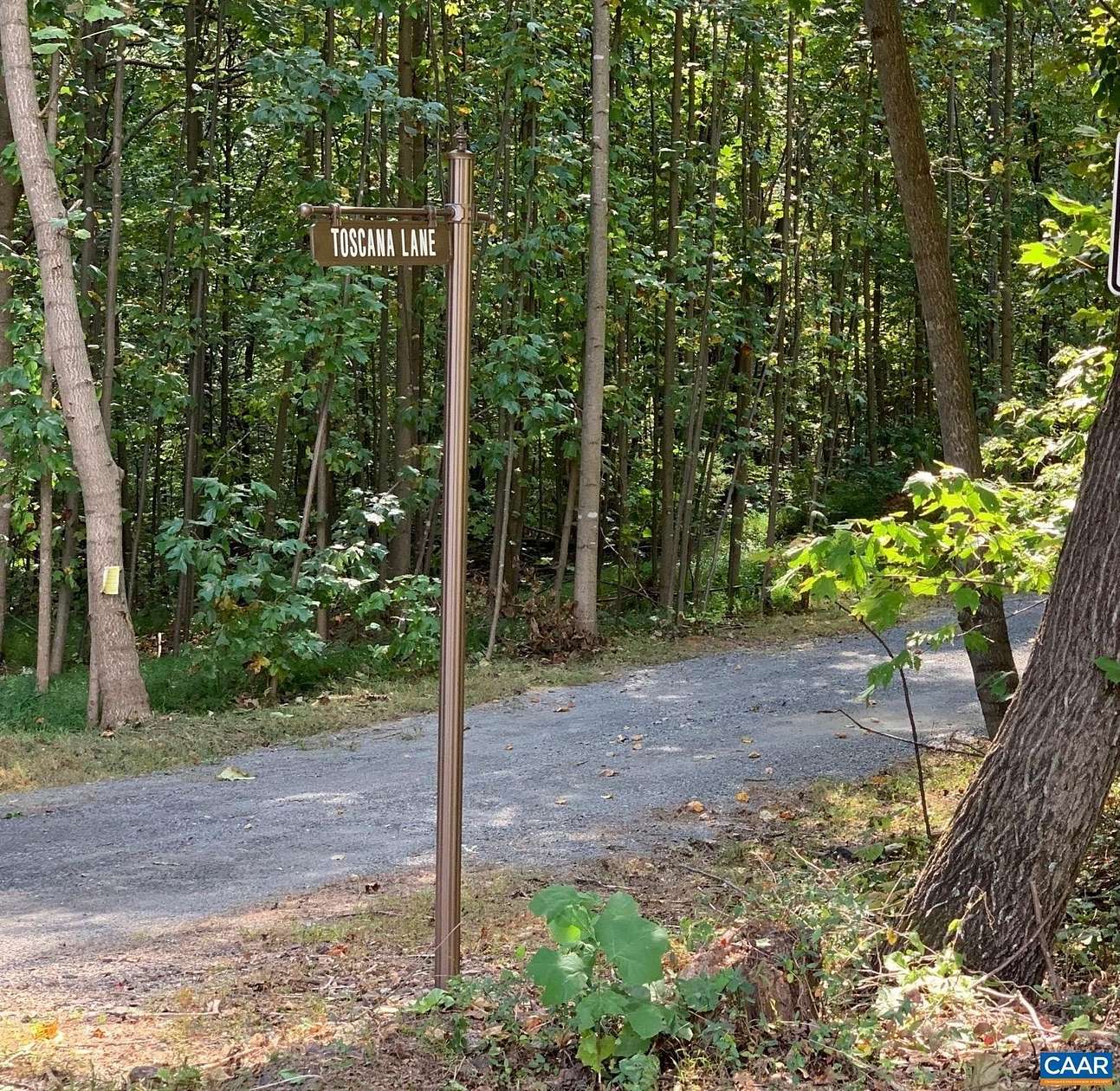10.6 Acres of Land for Sale in Madison, Virginia