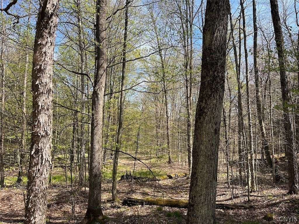 5 Acres of Land for Sale in Alma, New York