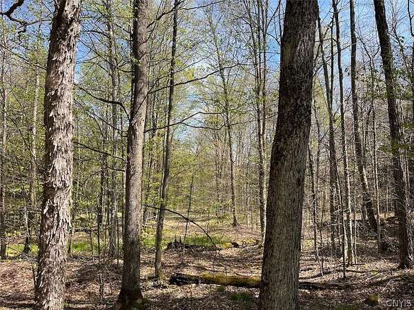 5 Acres of Land for Sale in Alma, New York