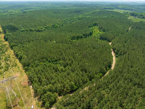 230 Acres of Recreational Land for Sale in Sharon, South Carolina