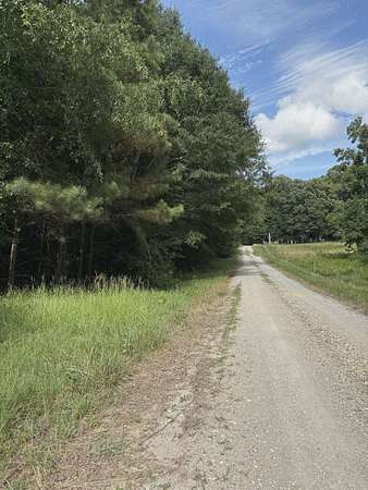 40 Acres of Recreational & Residential Land for Sale in Phil Campbell, Alabama