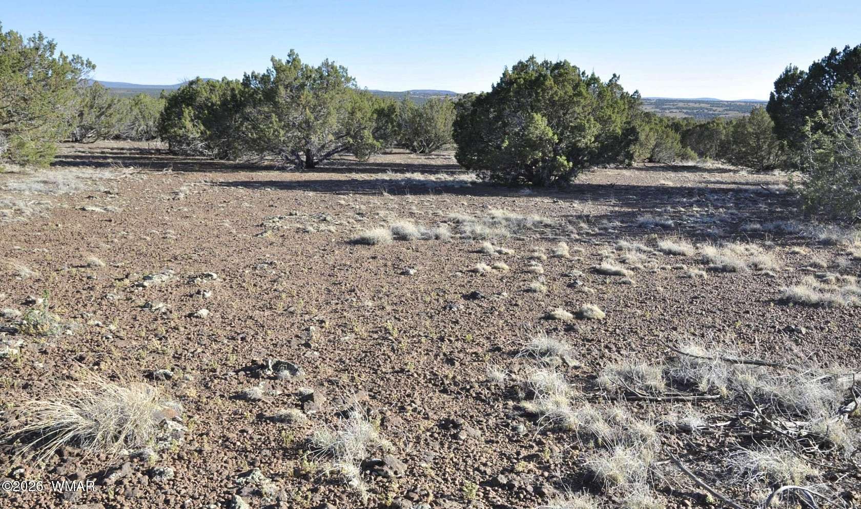 20 Acres of Recreational & Residential Land for Sale in Show Low, Arizona