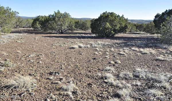 20 Acres of Recreational & Residential Land for Sale in Show Low, Arizona