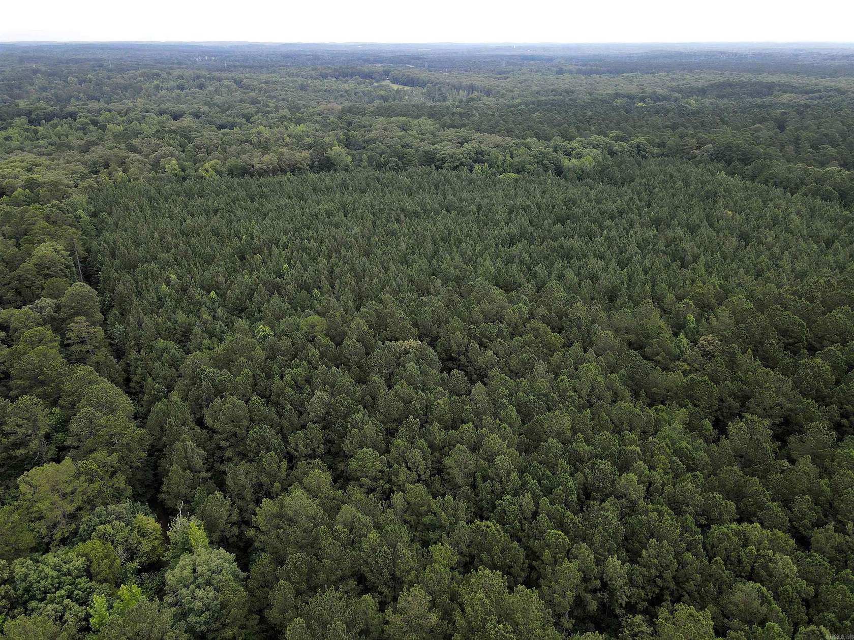 40 Acres of Recreational Land for Sale in Malvern, Arkansas