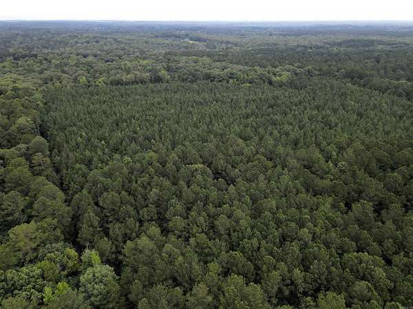 40 Acres of Recreational Land for Sale in Malvern, Arkansas
