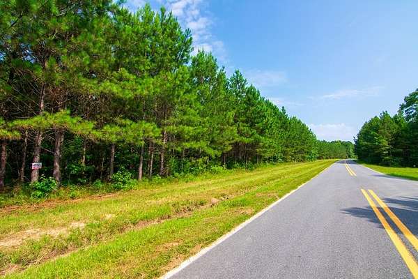 16 Acres of Land for Sale in Waverly Hall, Georgia