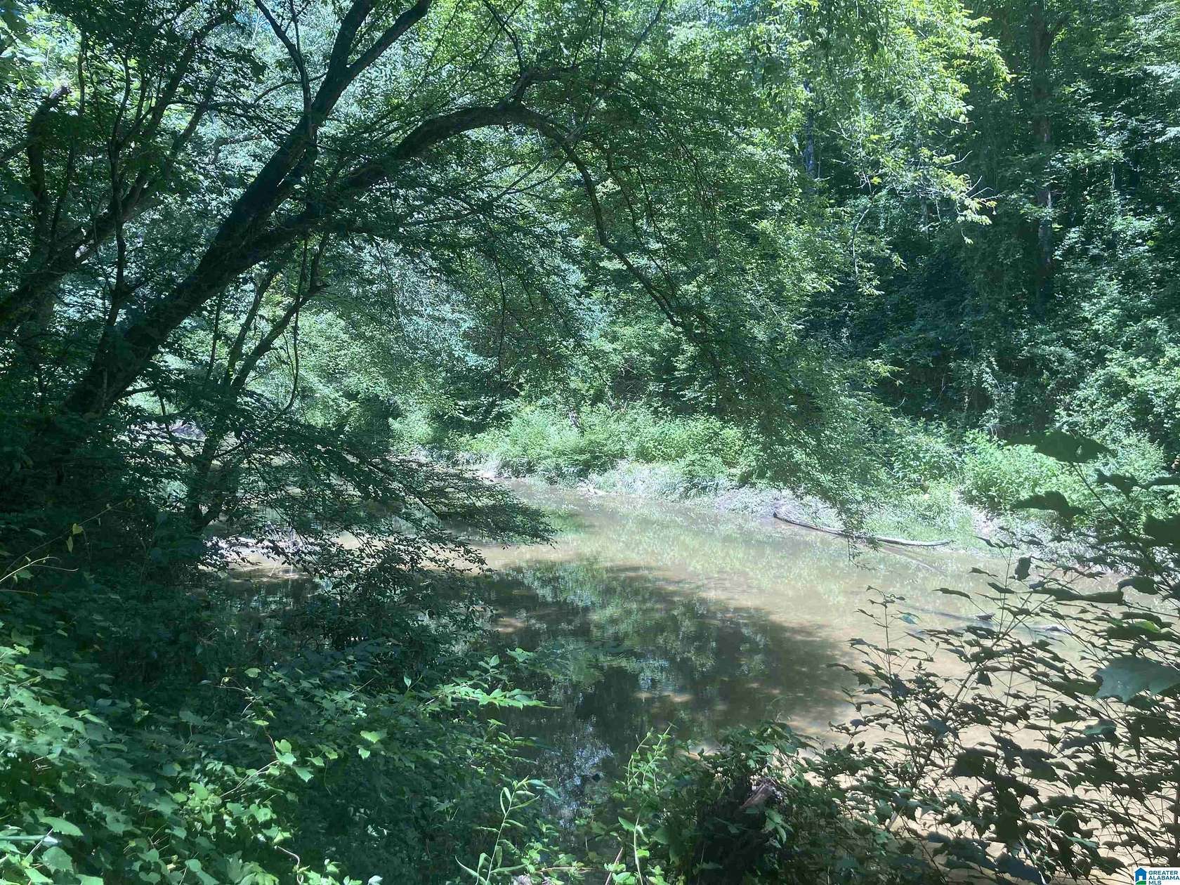 91.8 Acres of Recreational & Residential Land for Sale in Vinemont, Alabama